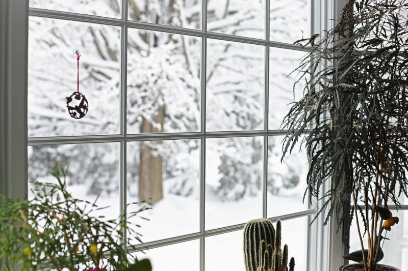 View of snowy winter outdoors to represent information on your furnace leaking water.
