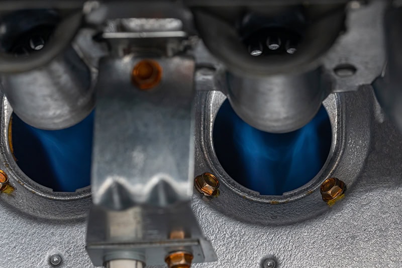 closeup, background, no people.